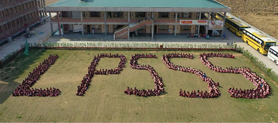 How Megamax Revamped Lotus Petal Foundation’s Donation Platform for Global Impact